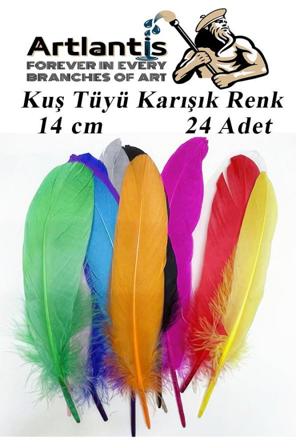 Kuş Tüyü Renkli 24 Lü 1 Paket 14 cm Tüy Karışık Renk Hobi Okul Öncesi Kreş Anasınıfı Kuş ve Kaz Tüyü Renkli ürün görseli 1