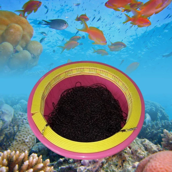 Abalone Hazır Paragat  50 İğne ürün görseli 1