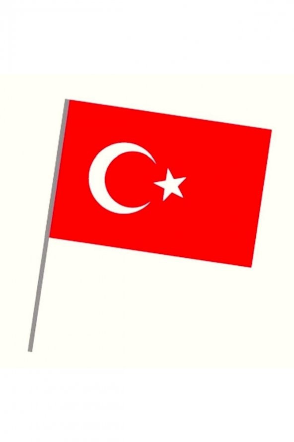 20x30 - Sopalı Kumaş Türk Bayrağı 10 Adet ürün görseli 1