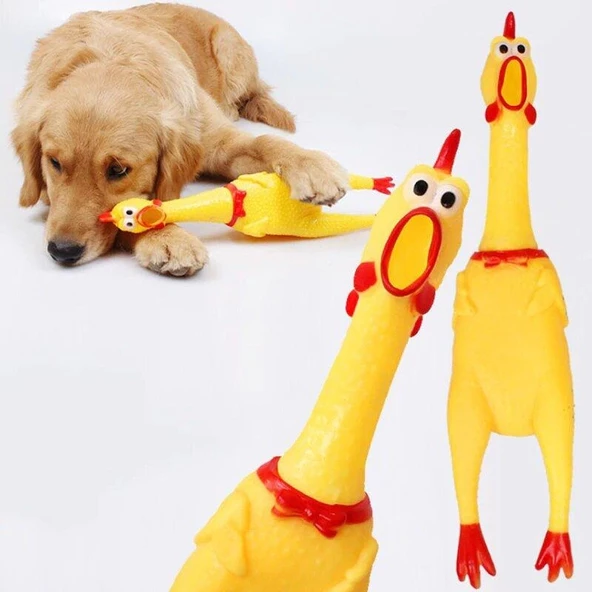 Öten Tavuk Köpek Oyuncağı Small 16 cm - Resim 3