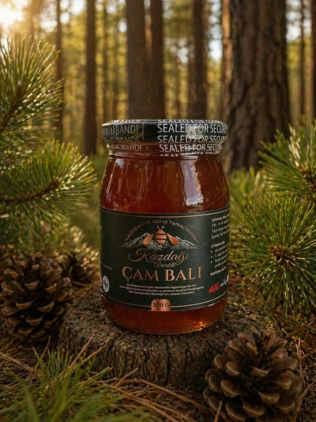Kazdağı Çam Balı 500g ürün görseli 1