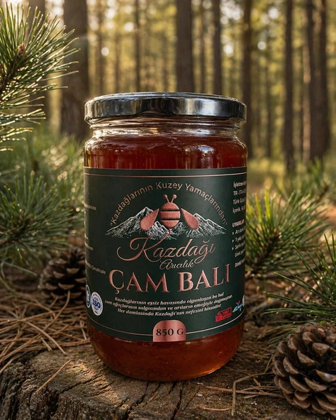 Kazdağı Çam Balı 850g ürün görseli 1