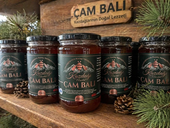 Kazdağı Çam Balı 850g - Resim 2