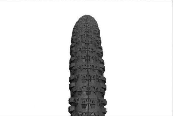 RAPTOR - Dış Lastik - 24 x 2.10 (2416) Siyah Zırhlı ürün görseli 1