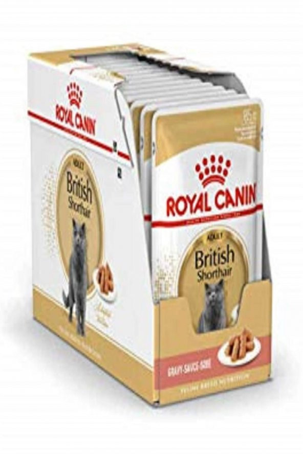 Royal Canin British Shorthair İçin Özel Yetişkin Kedi Maması 85 gr ürün görseli 1