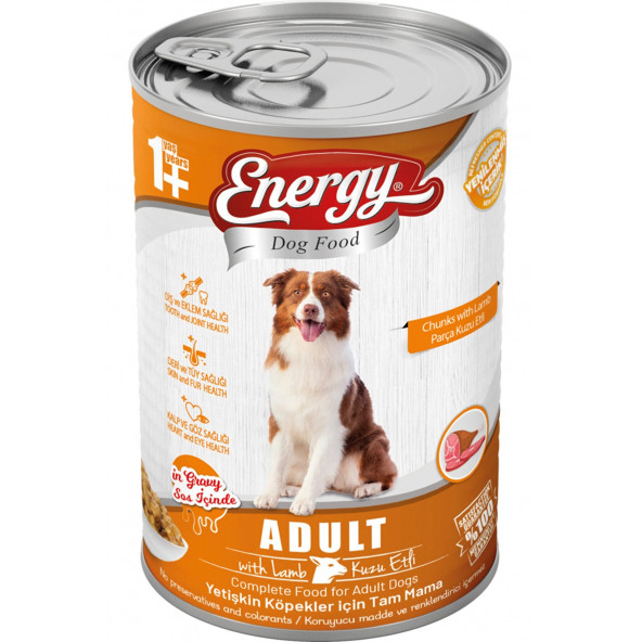 Energy Pet Food Energy Kuzu Etli Yetişkin Islak Köpek Konserve Maması 415 Gram 80 Adet ürün görseli 1