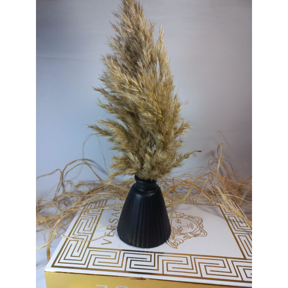 PAMPAS VAZOSU SİYAH - Resim 3