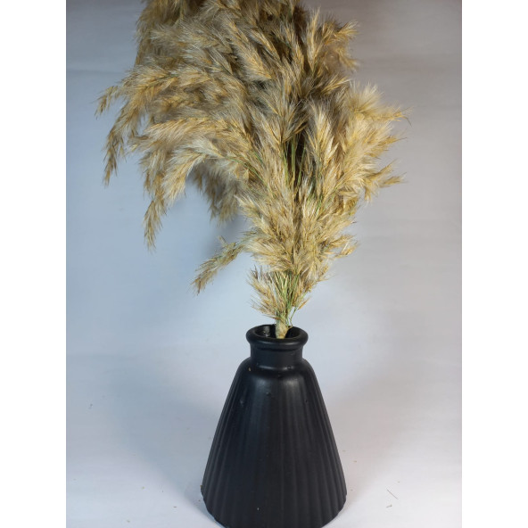 PAMPAS VAZOSU SİYAH - Resim 4