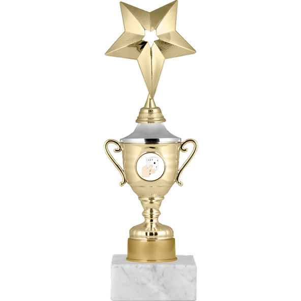 ODAK KUPA - Genel Kupalar - GG-004 B - 26 cm ürün görseli 1