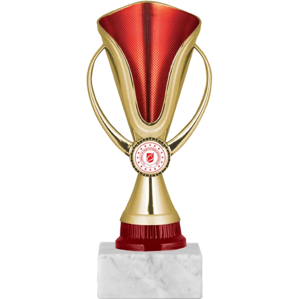ODAK KUPA - Genel Kupalar - GN-058 B - 21 cm ürün görseli 1