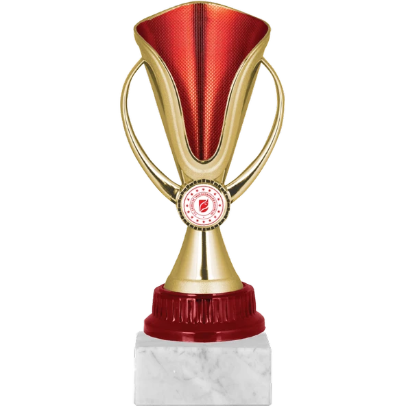 ODAK KUPA - Genel Kupalar - GN-058 A - 22 cm ürün görseli 1