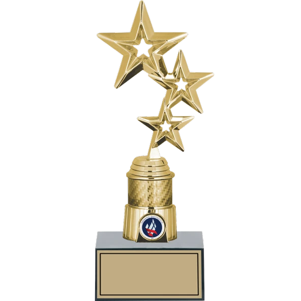 ODAK KUPA - Genel Kupalar - GN-072 C - 27 cm ürün görseli 1