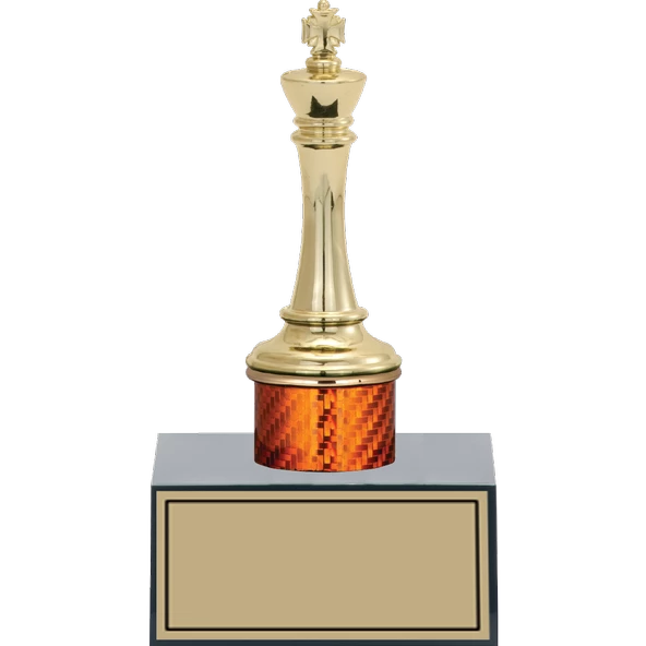 ODAK KUPA - Figürlü Kupalar - Satranç Figürlü Kupalar FG-003 C - 17 cm ürün görseli 1
