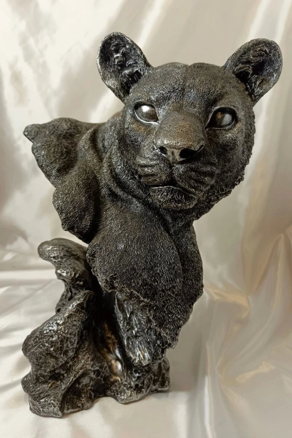 Aslan Kaplan Jaguar Biblo - Resim 2