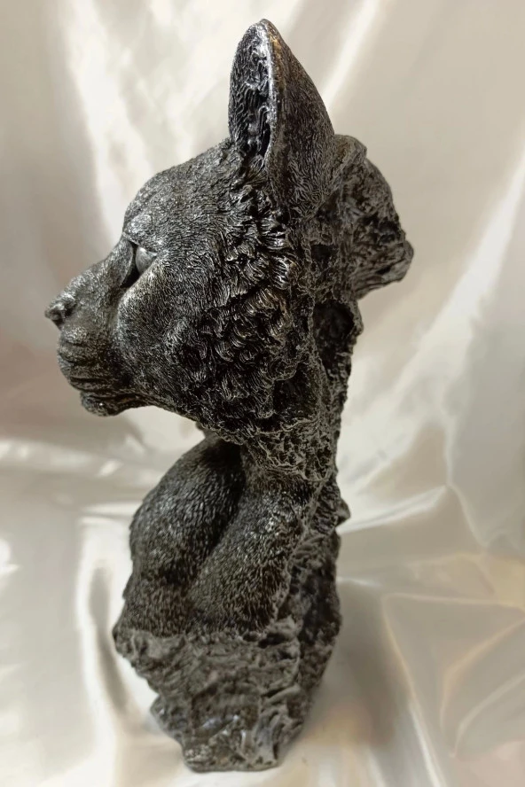 Aslan Kaplan Jaguar Biblo - Resim 3