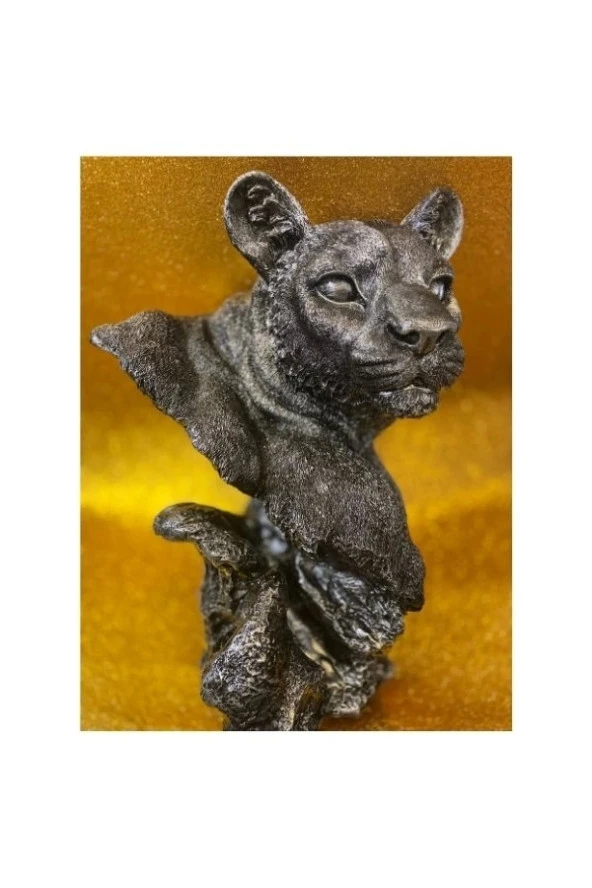 Aslan Kaplan Jaguar Biblo - Resim 5
