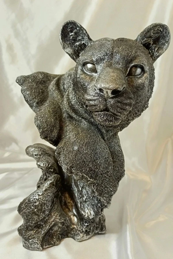 Aslan Kaplan Jaguar Biblo - Resim 6