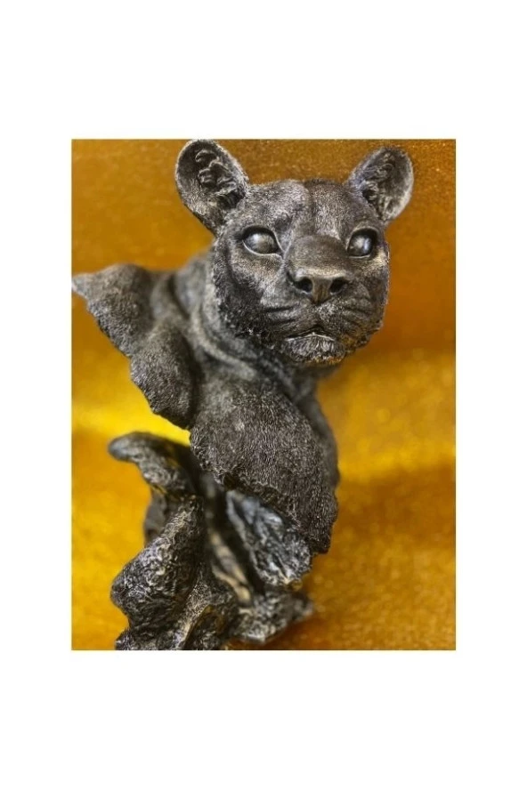 Aslan Kaplan Jaguar Biblo - Resim 7
