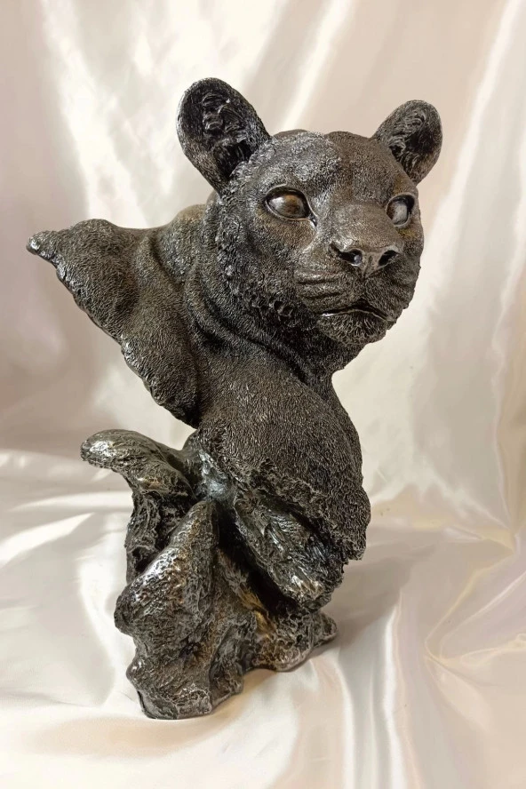 Aslan Kaplan Jaguar Biblo - Resim 9