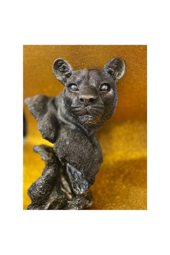 Aslan Kaplan Jaguar Biblo - Resim 10