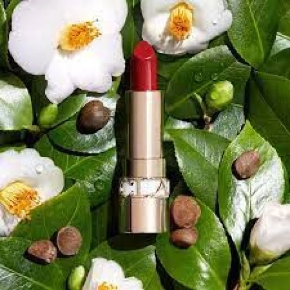 Clarins Joli Rouge Satin Lipstick 742 ürün görseli 1