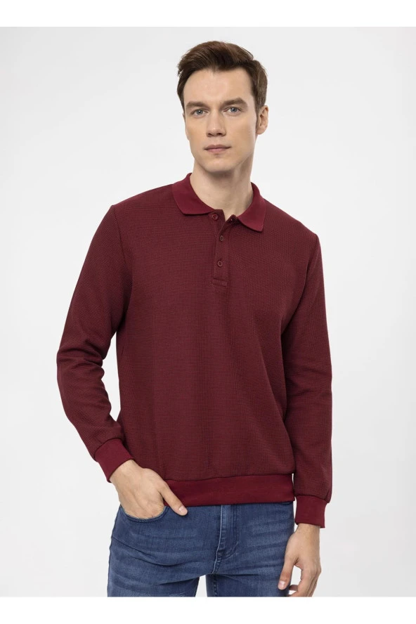 Süvari Polo Yaka Regular Fit Armürlü Koyu Bordo Erkek Kazak TR2013700314 ürün görseli 1