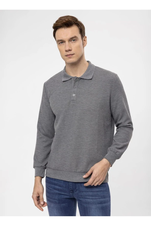 Süvari Polo Yaka Regular Fit Armürlü Antrasit Erkek Kazak TR2013700314 ürün görseli 1