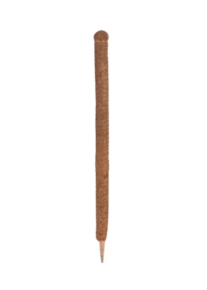 Gardener KKS110 Koko Sarmaşık Çubuğu - 110 cm ürün görseli 1