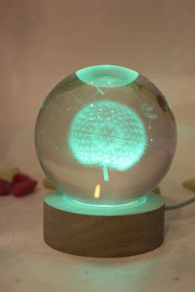 3D Led Işık Cam Küre Çok Işıklı Karahindiba ürün görseli 1