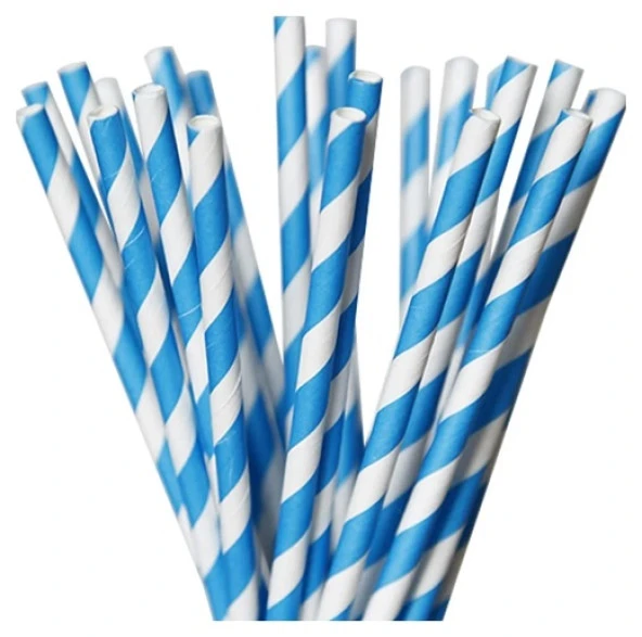 Kağıt Pipet 24 lü ürün görseli 1