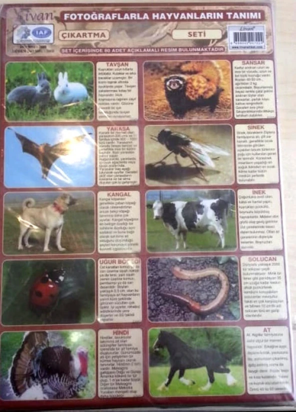 Hayvanlı Çıkartma Seti ürün görseli 1