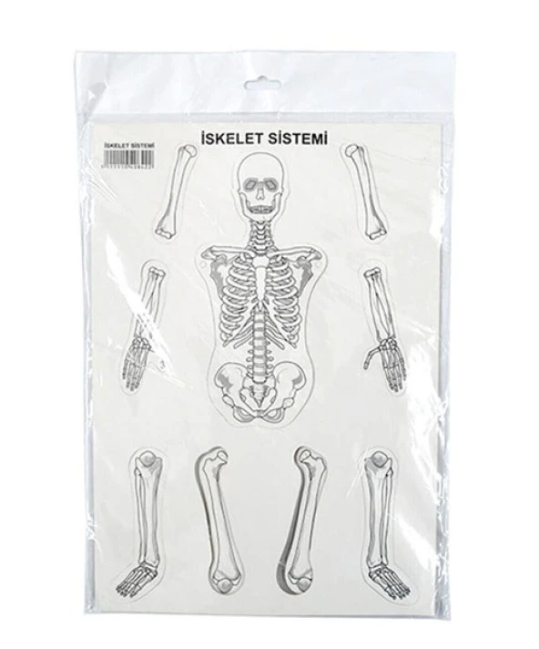 Karton İskelet Sistemi ürün görseli 1