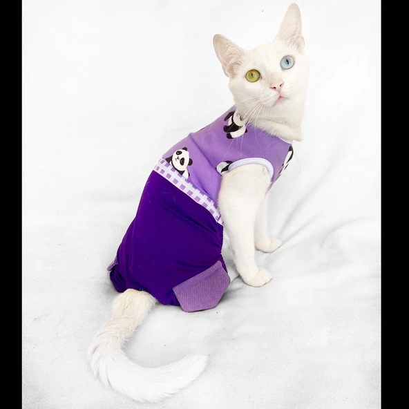 Chique Panda Kedi Tulumu Kedi Kıyafeti Kedi Elbisesi ürün görseli 1