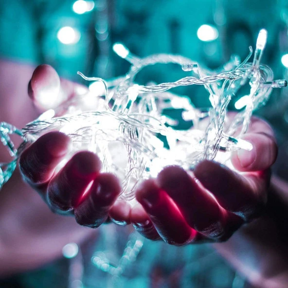 10 METRE BEYAZ LED IŞIK CHRİSTMAS TREE WHİTE LED LİGHT 220V 100 LED BEYAZ ÇAM AĞACI IŞIKLARI YILBAŞI IŞIKLARI ürün görseli 1