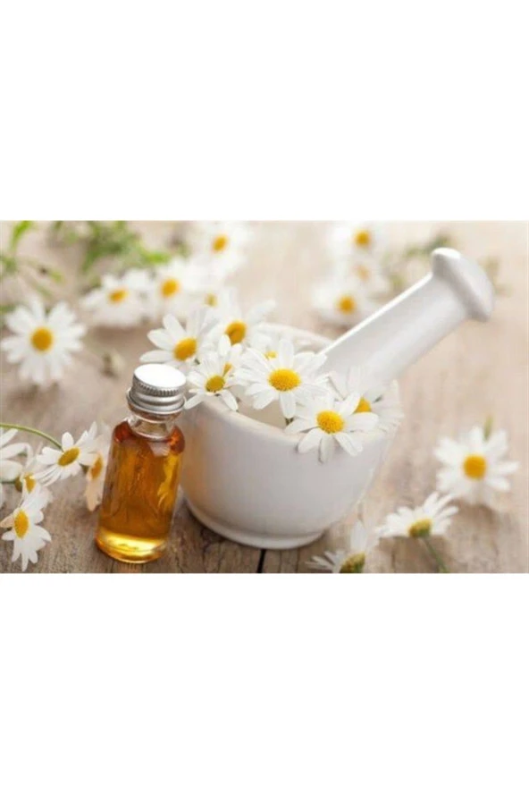 BİORGANİX LİFE Papatya Yağı 20 Ml Chamomile Oil ürün görseli 1