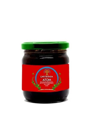 ÇARE BURADA Atom Performans Macunu 500 Gr ürün görseli 1