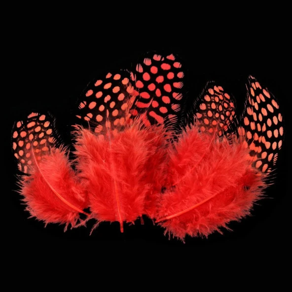 50 ADET PUANTİYELİ KIRMIZI SİYAH KUŞ TÜYÜ KIRMIZI KUŞ TÜYÜ DECOR RED BIRD FEATHER KIRMIZI ŞEFFAF BALON TÜYÜ ürün görseli 1