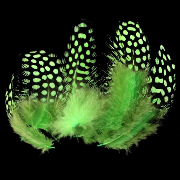 50 ADET PUANTİYELİ YEŞİL SİYAH KUŞ TÜYÜ YEŞİL KUŞ TÜYÜ DECOR GREEN BIRD FEATHER YEŞİL ŞEFFAF BALON TÜYÜ ürün görseli 1