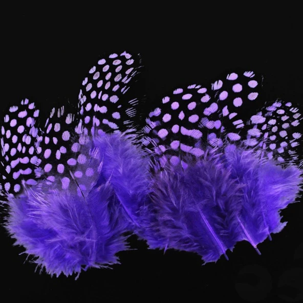 50 ADET PUANTİYELİ MOR SİYAH KUŞ TÜYÜ MOR KUŞ TÜYÜ DECOR PURPLE BIRD FEATHER MOR ŞEFFAF BALON TÜYÜ ürün görseli 1