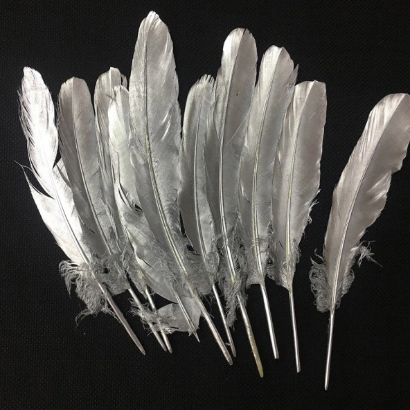10 ADET METALİK PARLAK GÜMÜŞ KUŞ TÜYÜ GÜMÜŞ KUŞ TÜYÜ DECOR SİLVER BIRD FEATHER GÜMÜŞ ŞEFFAF BALON TÜYÜ ürün görseli 1