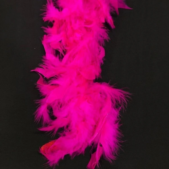 100 ADET FUŞYA KUŞ TÜYÜ DECOR FUCHSİA BIRD FEATHER FUŞYA ŞEFFAF BALON TÜYÜ DEKORATİK FUŞYA SÜSLEME TÜYÜ ürün görseli 1