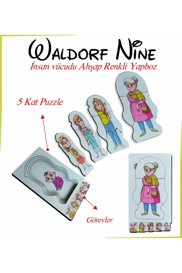 Waldorf Nine İnsan Vücudu Renkli Ahşap Yapboz Yaşam Döngüsü ürün görseli 1