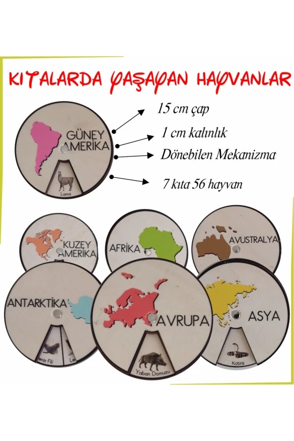 Ahşap Renkli Kıtalar Ve Kıtalarda Yaşayan Hayvanlar ürün görseli 1