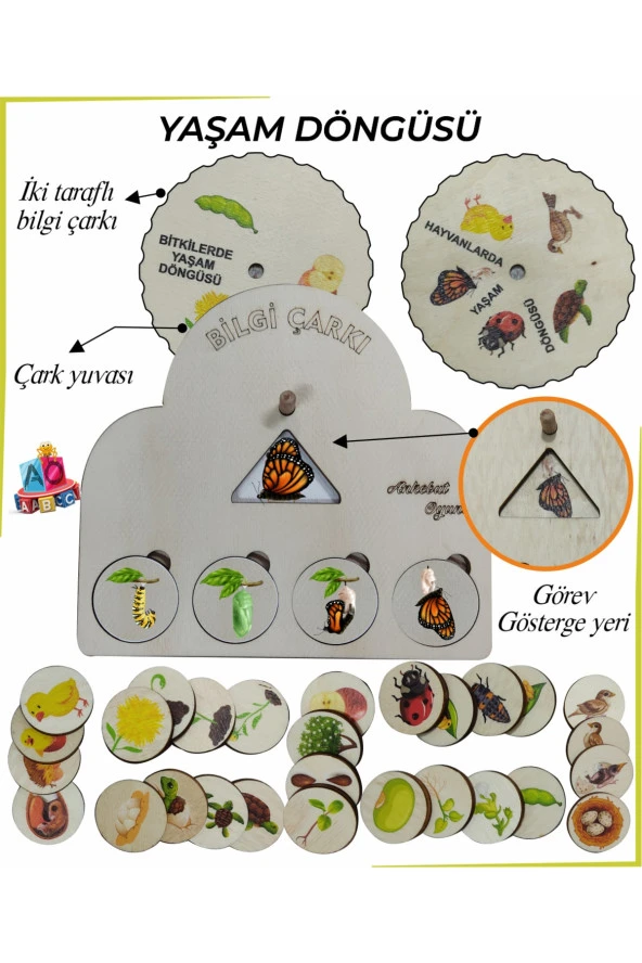 Bilgi Çarkı Fen Seti 2 Yaşam Döngüsü ürün görseli 1