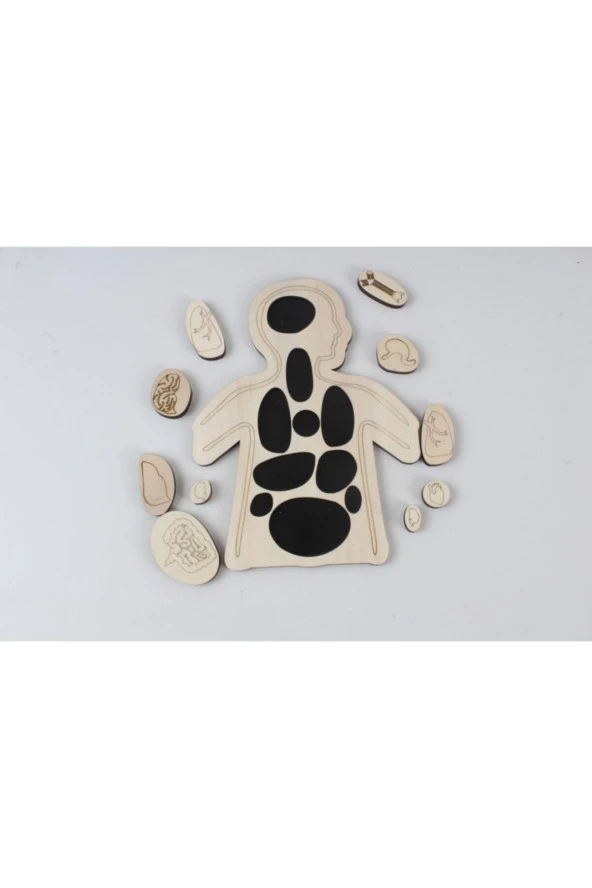 Montessori Ahşap Organlarımızı Öğreniyorum Ahşap Puzzle ürün görseli 1