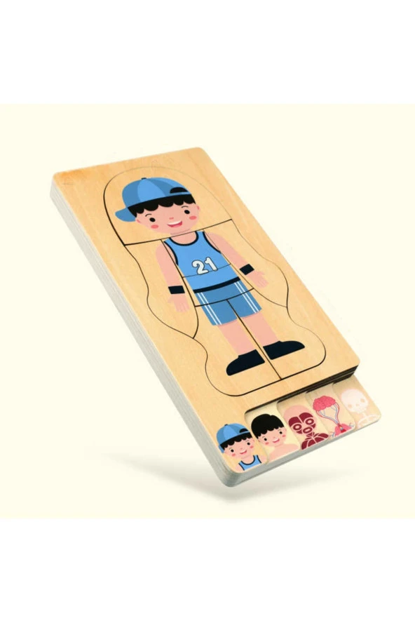 Montessori Waldorf Öğrenme Ahşap Erkek Insan Vücudu Anatomisi Puzzle ürün görseli 1