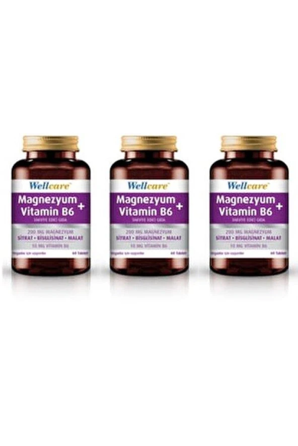 Wellcare Magnezyum + Vitamin B6 60 Tablet 3 Kutu ürün görseli 1