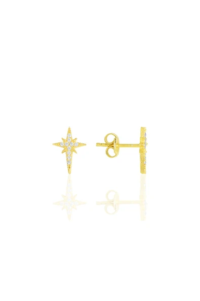 Gümüş Altın Yaldızlı Zirkon Taşlı Kutup Yıldızı Küpe SGTL11482GOLD ürün görseli 1