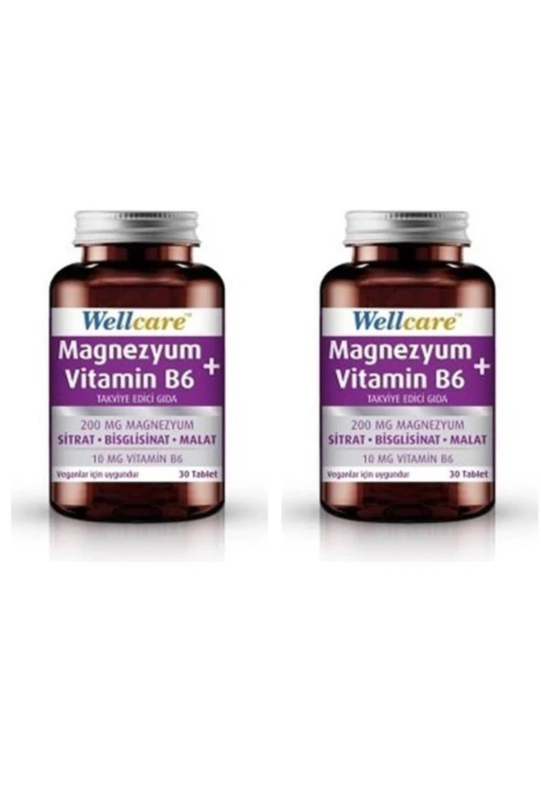 Wellcare Magnezyum + Vitamin B6 30 Tablet 2 Kutu ürün görseli 1