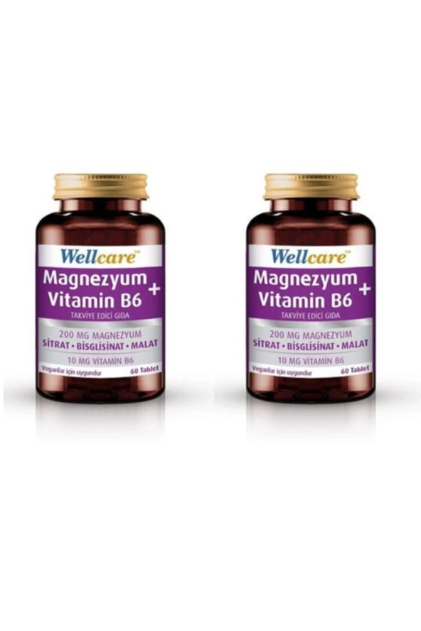 Wellcare Magnezyum + Vitamin B6 60 Tablet 2 Kutu ürün görseli 1